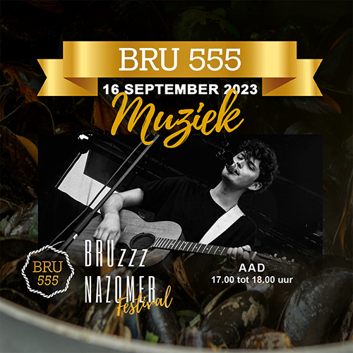 BRUzzz muziek AAD Digitaal Analoog